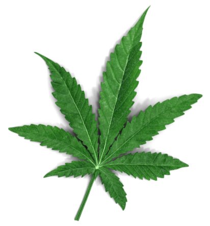 Weed leaf